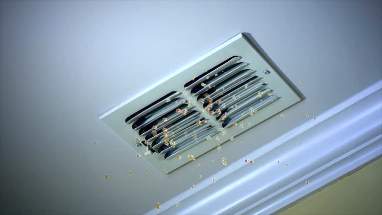Best Emergency Air Duct Cleaning  in Ashton, ID