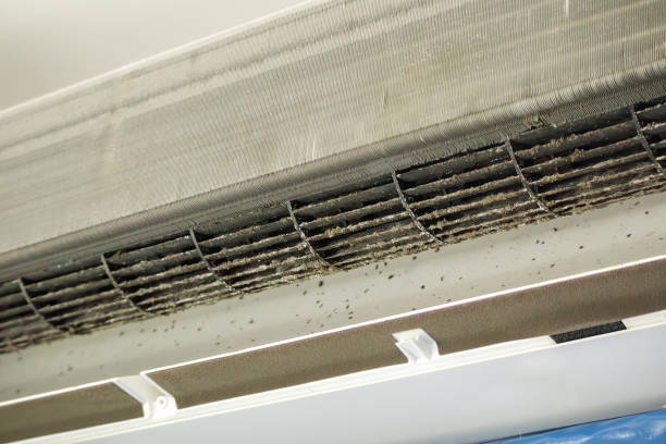 Best Local Air Duct Cleaning Services  in Ashton, ID